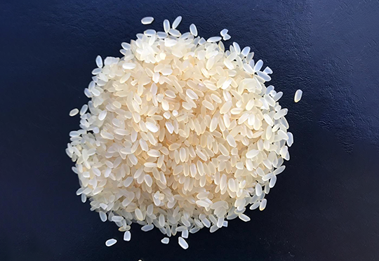 Rice Image