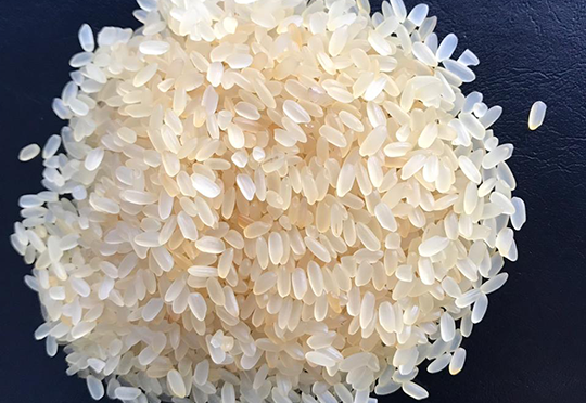 Rice Image